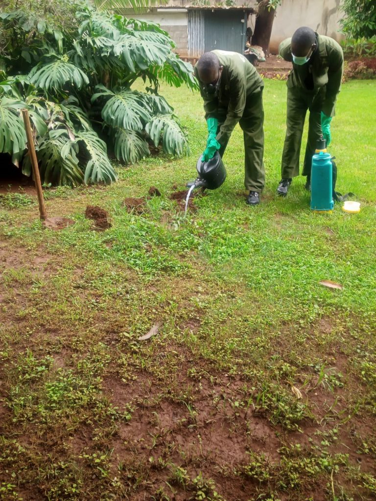 Termite Control by Vermkil Consultants Ltd