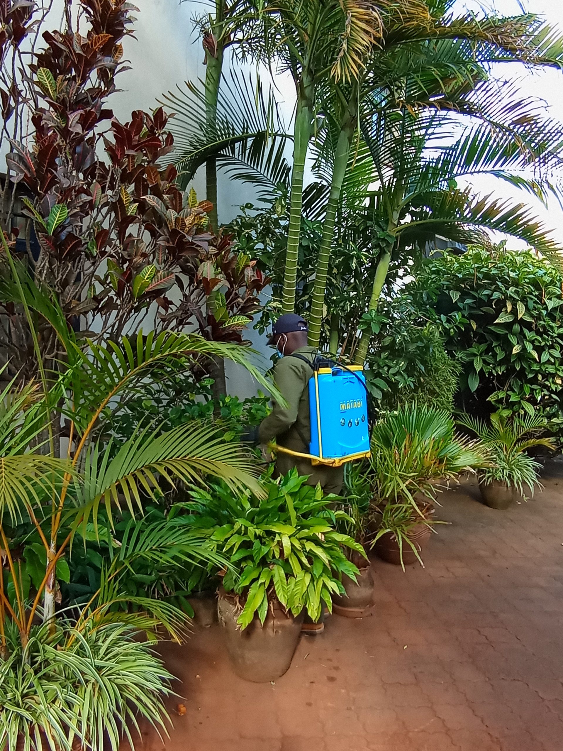 Snake Control at Vermkil Consultants ltd