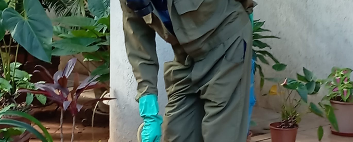 Ants Control Solutions By Vermkil Consultants Ltd