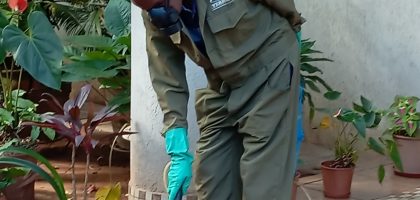 Ants Control Solutions By Vermkil Consultants Ltd