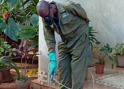 Ants Control Solutions By Vermkil Consultants Ltd