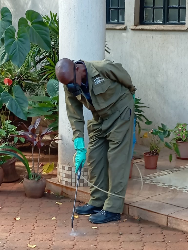 Ants Control Solutions By Vermkil Consultants Ltd