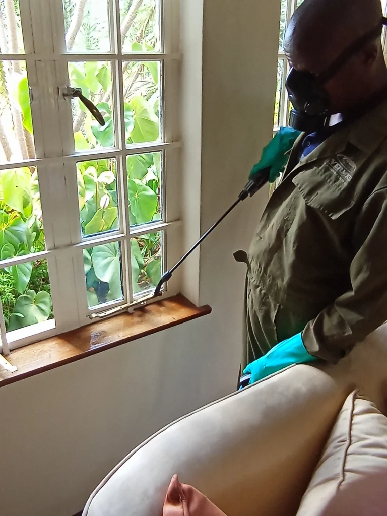 Fumigation against household pests- cockroaches , fleas, bedbugs, houseflies, mosquitoes - by Vermkil Consultants Ltd