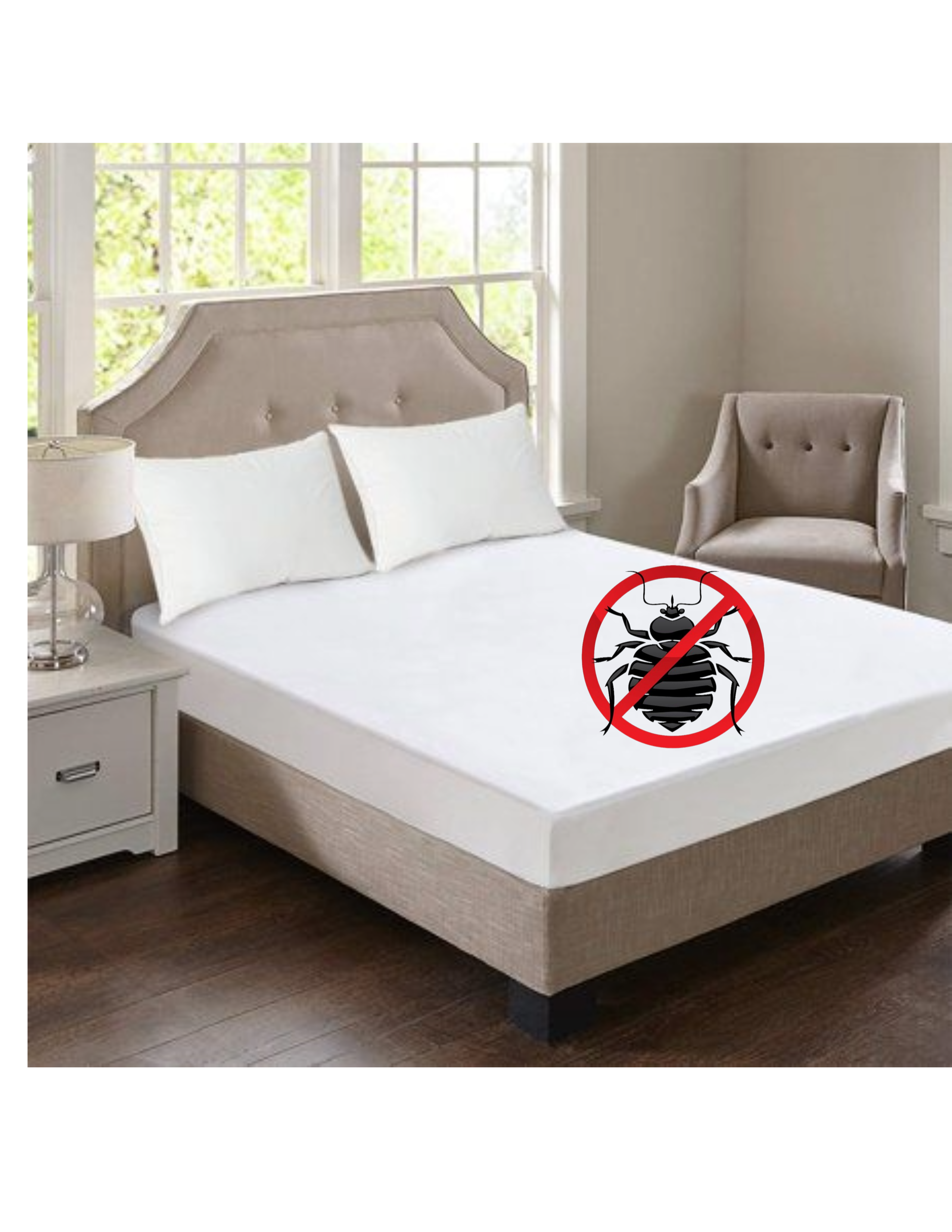Pest control against bedbugs by Vermkil Consultants Ltd 