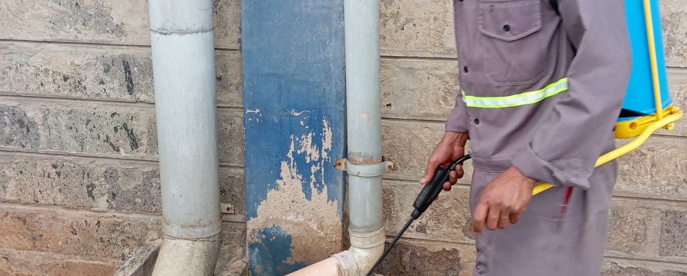 Cockroach Control at Vermkil Consultants Ltd