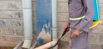 Cockroach Control at Vermkil Consultants Ltd