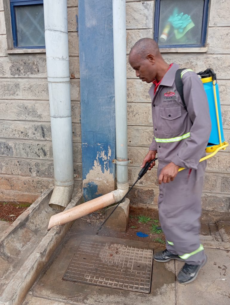 Cockroach Control at Vermkil Consultants Ltd